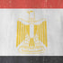 Egyptian Flag Distressed iPhone XS Max Skin